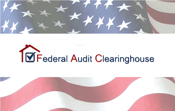 Federal Single Audit Clearinghouse Financial Statement Alayneabrahams