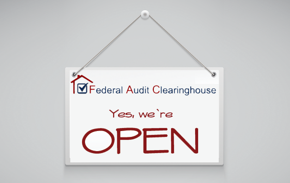 federal audit clearinghouse reopens statement of projected earnings comparative balance sheet formula